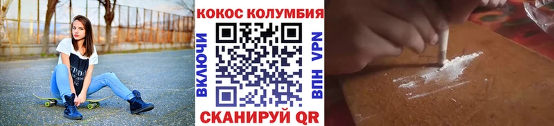 Купить Борзя Cocaine Эквадор