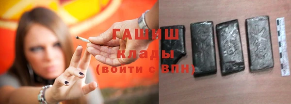 гидра Богданович