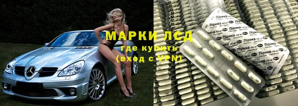 гидра Богданович