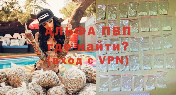 гидра Богданович
