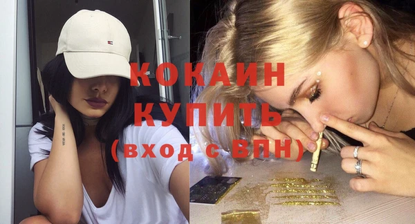 гидра Богданович