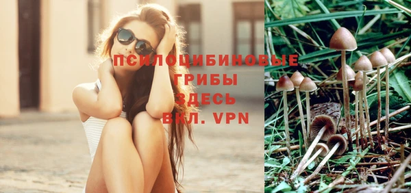 прущие крисы Семикаракорск