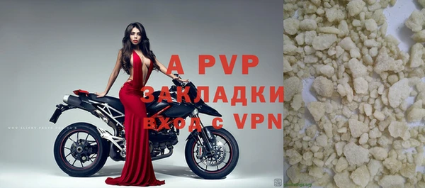гидра Богданович