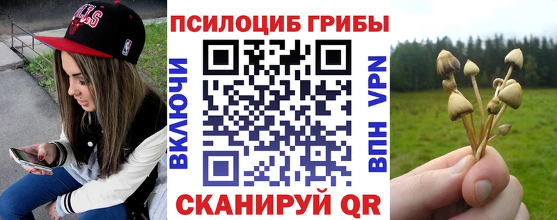 Купить закладки  Борзя  Галлюциногенные грибы GOLDEN TEACHER 